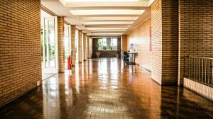 How Is Timber An Ideal Building Material?