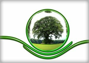 Carbon Footprint Impact on the Environment