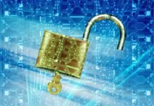 How Data Control In Citizen’s Hand Make The Digital Environment Secure?