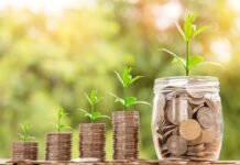 What Is The Role of Green Bank In Sustainable Development?