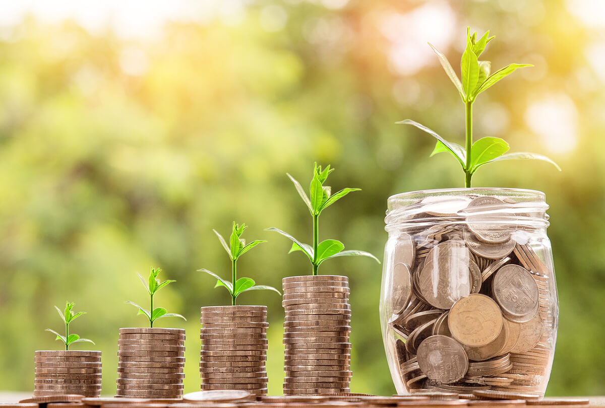 What Is The Role of Green Bank In Sustainable Development?