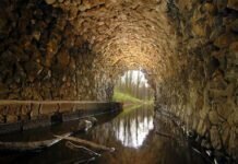 Artificial Intelligence to Treat Sewers In Cities