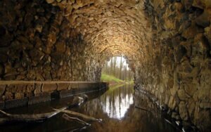 Artificial Intelligence to Treat Sewers In Cities