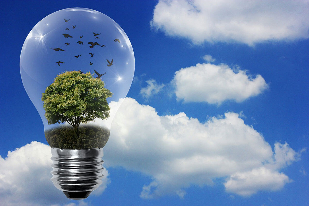 How Small Cities Are Becoming Renewable Energy Champions?