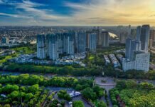 Will Building New Cities In Jungles Trigger More Pandemics?