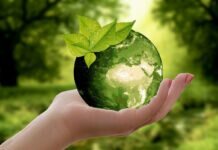 Reconnecting With Nature To Conserve Biodiversity In Smart Cities