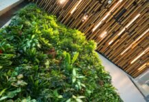 Biophilic
