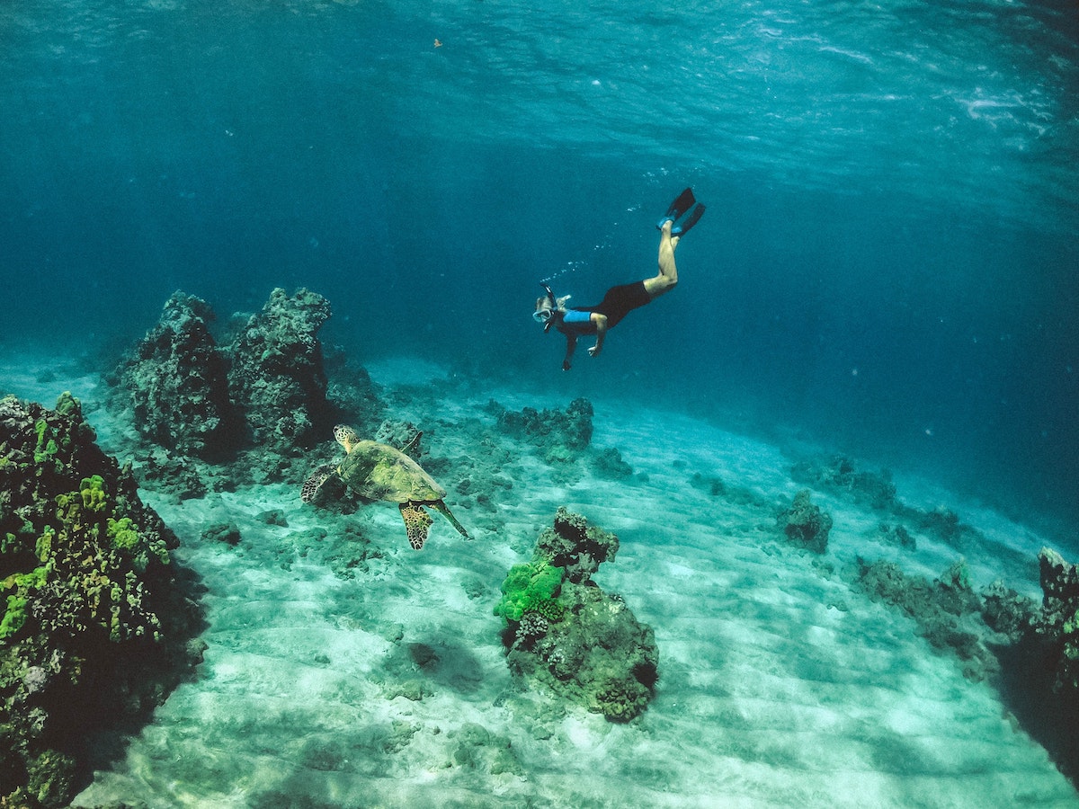 snorkelling