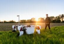 agriculture